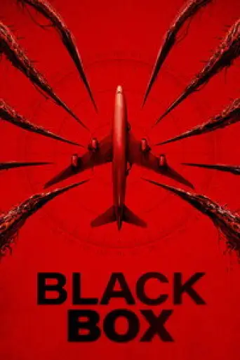 Black Box (2025) poster