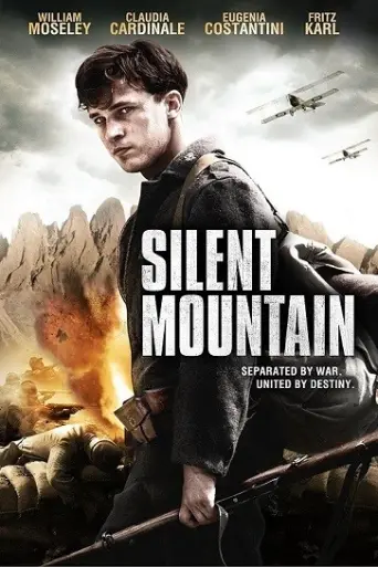 The Silent Mountain (2014) poster