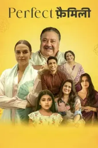 Perfect Family (Season 1) poster