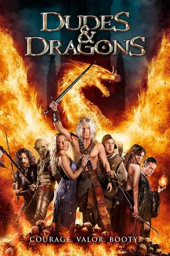 Dudes & Dragons (2015) WEB-HD [Hindi DD2.0 & Engl… poster