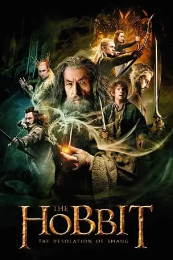 The Hobbit The Desolation of Smaug (2013) poster