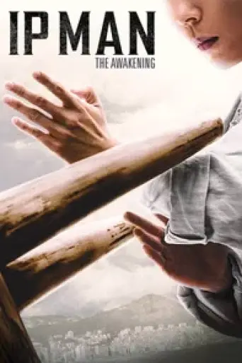 Ip Man: The Awakening (2021) poster