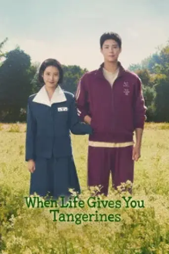 When Life Gives You Tangerines (Season 1) poster