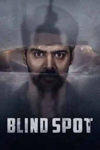 Blind Spot (2025) poster