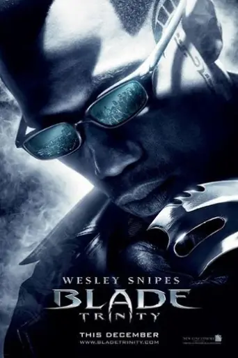 Blade 3 Trinity 2004 Hindi BluRay 720p & 480p Dual Audio Blade 3 Trinity 2004 Hindi BluRay 720p & 480p Dual Audio