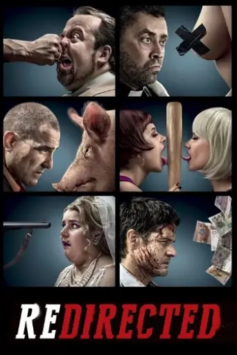 Redirected (2014) poster