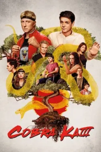 Cobra Kai (Season 3) poster