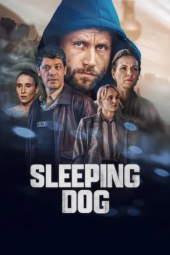 Sleeping Dog (Season 1) poster