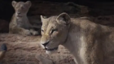 The-Lion-King-2019-01_02_05_11.th.jpg