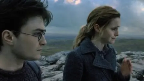 Harry-Potter-and-the-Deathly-Hallows-Part-1-2010-01_19_18_08.th.jpg