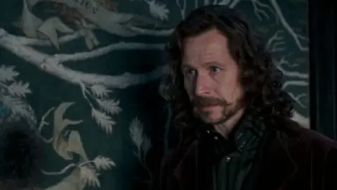 Harry-Potter-and-the-Order-of-the-Phoenix-2007-01_15_02_17.th.jpg