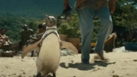 Download My Penguin Friend 2024 Hindi Dubbed HDRip Full Movie