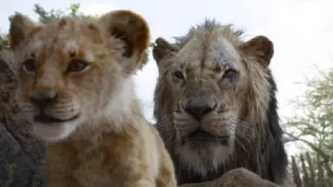 The-Lion-King-2019-00_16_39_03.th.jpg