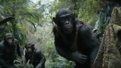 Download Kingdom of the Planet of the Apes Hindi Dubbed HDRip Full Movie